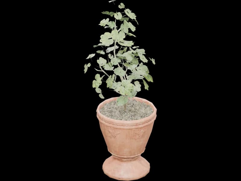 Potted Plant 1, free 3D model for Revit
