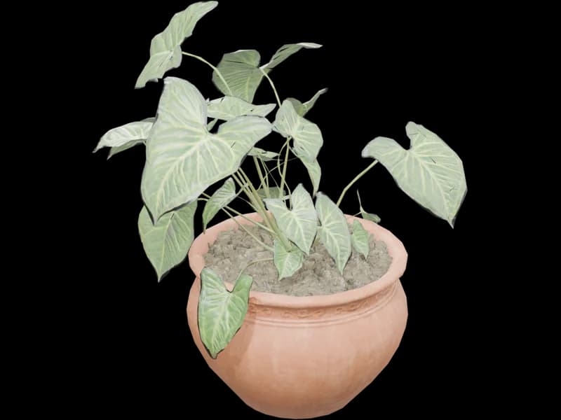 Potted Plant 2, free 3D model for Revit