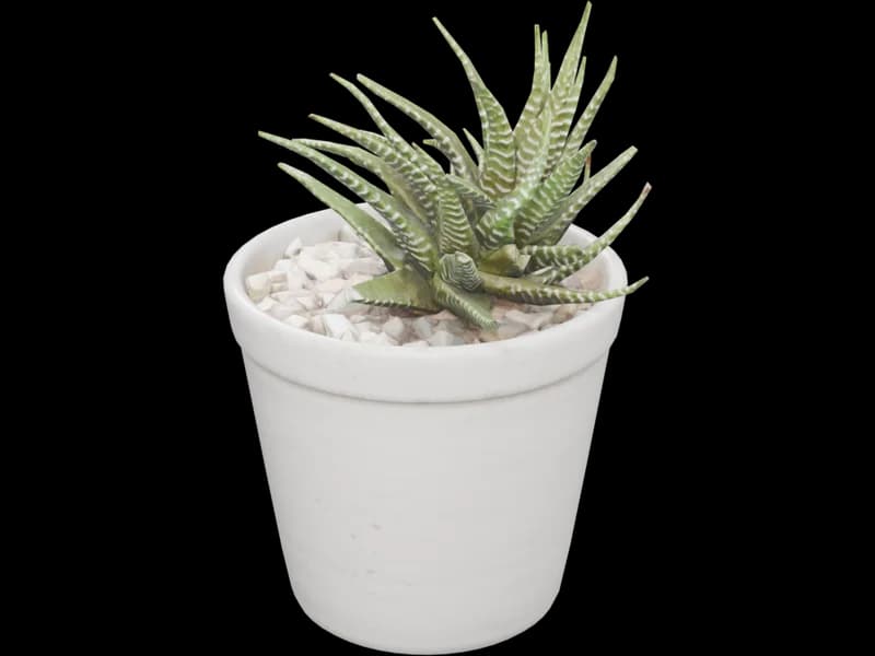 Potted Plant 3, free 3D model for Revit